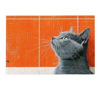 Puzzle 2000 Pezzi Arte per Adulti e Ragazzi, Puzzle Gatti in Legno per Adulti, Puzzles 2000 Pezzi Animali Impegnativo per Tutta la Famiglia, Puzzles con Scatola per Decorazioni Casa, Regalo, -7981