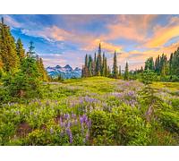 Puzzle 2000 pezzi CASTORLAND - Blossoms of Morning, 92 × 68 cm