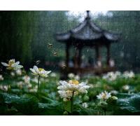 Puzzle 2000 Pezzi, Fiori Api 3D Puzzle per Adulti Impegnativo, Educa Puzzles Artistico, Divertente E Stimolante Puzzles Decorativo per La Famiglia, Come Regalo e Decorazione Pareti R6KH-623