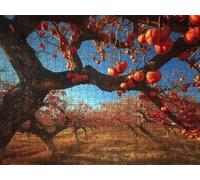 Puzzle 2000 Pezzi, Frutto Rosso 3D Puzzle per Adulti Impegnativo, Educa Puzzles Artistico, Divertente E Stimolante Puzzles Decorativo per La Famiglia, Come Regalo e Decorazione Pareti R6KH-300