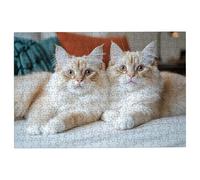 Puzzle 2000 Pezzi Gatti, Puzzle Animali Puzzles in Legno Dimensione Di 99x70cm, Classici Sfide Divertenti Intrattenimento Creativo, Divertimento Confezione di Alta Qualità Regalo Uomo e Donna -1234