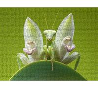 Puzzle 2000 Pezzi, La Cacciata Verde 3D Puzzle per Adulti Impegnativo, Educa Puzzles Artistico, Divertente E Stimolante Puzzles Decorativo per La Famiglia, Come Regalo e Decorazione Pareti R6KH-546