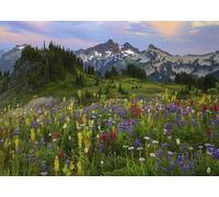 Puzzle 2000 Pezzi - Monti Tatoosh