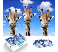 Puzzle 2000 pezzi per adolescenti Tre giraffe Giocattolo educativo intellettuale decomprimente Collezione di artisti, Belle arti 70x100cm