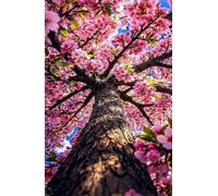 Puzzle 2000 Pezzi, Puzzle per Adulti Albero Ciliegio Fiore 100x70 cm, Impossibile Difficile Puzzles Impegnativo Come Regalo e Decorazione per Pareti