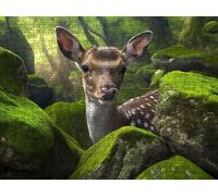 Puzzle 2000 Pezzi, Valle Del Cervo 3D Puzzle per Adulti Impegnativo, Educa Puzzles Artistico, Divertente E Stimolante Puzzles Decorativo per La Famiglia, Come Regalo e Decorazione Pareti R6KH-534
