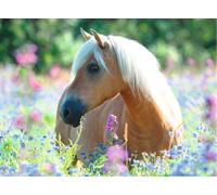 Puzzle 2D 300 pezzi - cavallo RAVENSBURGER