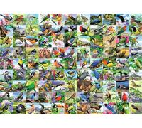 Puzzle 2D grande formato - 99 uccelli incantevoli, 300 pezzi
