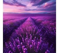 Puzzle 300 Pezzi Campo di lavanda, puzzle per Adulti 300 pezzi 35x35cm, Puzzles Giochi Rilassamento e Intelligence, puzzles Classici per Gioco Familiare, Festa Aziendale, Regalo Natale