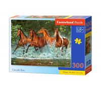 Puzzle 300 pezzi Cascade Run