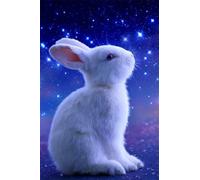 Puzzle 300 Pezzi Coniglio Animale Cielo Stellato, Puzzle Giocattolo Decompressivo Intellettuale Educativo Divertente Gioco per Famiglie, Puzzles per Adulti 300 Pezzi 38 x 26 cm