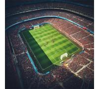 Puzzle 300 Pezzi per Adulti, puzzle 300 pezzi Impegnativo e Difficile, Perfetto per Appassionati di Puzzles Esperti, Idea Regalo Uomo e Donna, Tema:Grande stadio sportivo