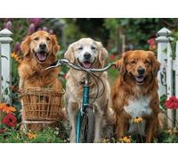 Puzzle 300 Pieces Cane Bambina Bambino 10 8 9 6 5 7 Anni Regalo Maschio Adulti Legno Bici Puzzle Arte Giochi Gioco di QI Ragazzo Grandi Dimensioni 40x28cm,300pcs Regalo Toy, Scatola Squisita P-897