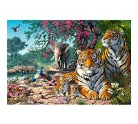 Castorland C-300600-2 puzzle 3000 pz Animali