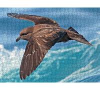 Puzzle 3000 Pezzi, Gabbiano Grigio 3D Puzzle per Adulti Impegnativo, Educa Puzzles Artistico, Divertente E Stimolante Puzzles Decorativo per La Famiglia, Come Regalo e Decorazione Pareti R6KH-449