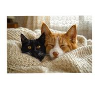 Puzzle 3000 Pezzi Gatti, Puzzle Cane Puzzles in Legno Dimensione Di 122x81cm, Classici Sfide Divertenti Intrattenimento Creativo, Divertimento Confezione di Alta Qualità Idea Regalo Uomo e Donna -1560