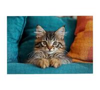 Puzzle 3000 Pezzi Gatti, Puzzle Moderno Puzzles in Legno Dimensione Di 122x81cm, Classici Sfide Divertenti Intrattenimento Creativo, Divertimento Confezione di Alta Qualità Regalo Uomo e Donna -2120