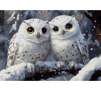 Puzzle 3000 Pezzi Gufo Puzzle Adulti Sfida Impossibili Jigsaws Animale Classica 3D Pattern Art Jigsaws per Divertimento Adulti e Bambina, Gioco Familiare, Festa Aziendale, Amore e Amico 122x81cm C-758