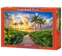 Castorland - Puzzle Alba colorata a Miami, Stati Uniti d'America - 3000 Pezzi