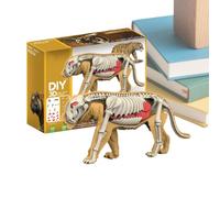 Puzzle 3D Animali per Bambini Realistico Interattivo Squalo Tigre