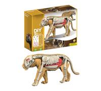 Puzzle 3D Animali per Giocattolo Realistico Educativo dello Squalo Tigre