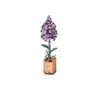 ROBOTIME LILAC PUZZLE IN LEGNO 3D