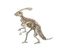 Puzzle 3D in legno Parasaurolophus