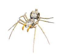 Puzzle 3D in metallo per adulti, kit modello di ragno cyborg 3D e assemblaggio fai da te, insetto meccanico, display da tavolo alla moda e regalo (186 pezzi/argento)