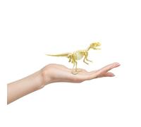 Puzzle 3D Modello Di Scheletro Di Dinosauri - Puzzle In Osso Fai Da Te Da 7 Pezzi | Giocattoli STEM Per Adulti E Bambini, Materiale Non Tossico | Modello Educativo Di Scheletro Di Dinosauro Per Decora