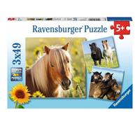 Puzzle 3x49 pezzi Amore per i cavalli da 5 anni 3 puzzle inclusi mini