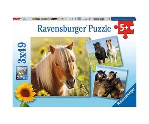 Puzzle 3x49 pezzi Amore per i cavalli da 5 anni 3 puzzle inclusi mini