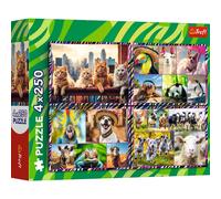 Puzzle 4×250 pezzi Allegri animaletti