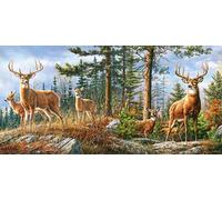 Puzzle 4000 pezzi - Famiglia reale di cervi