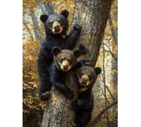 Puzzle 4000 Pezzi, Foresta Dell' Orso Nero 3D Puzzle per Adulti Impegnativo, Educa Puzzles Artistico, Divertente E Stimolante Puzzles Decorativo per La Famiglia, Regalo e Decorazione Pareti DX0YL6-326