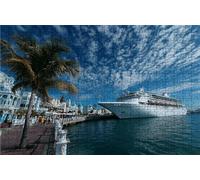 Puzzle 4000 Pezzi Nave Da Crociera Puzzle 4000 Pezzi Legno per Adulti Porta, Splendidamente Confezionato in Una Scatola di Cartone, Trasportabile in Una Borsa a Rete per Regalo Donna 90x140cm RXPT5191