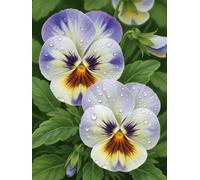 Puzzle 4000 pezzi per Adulti Fiore di rugiada, 141x87cm Puzzle Impossibile e Difficili, Puzzles Decorativo per Soggiorno e Camera, Idea Regalo per Amanti dei Puzzle