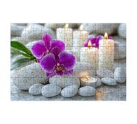 Puzzle 4000 Pezzi, Puzzle Fiore, Puzzles in Legno con Compact Box Tema Calcolo, Puzzles Classico per Adulti e Tutta la Famiglie, Divertimento, Idea Creativo Regalo Uomo Regalo Donna, Decorazione -1941