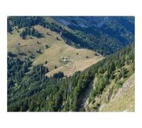 Puzzle 500 Pezzi Idea Regalo uomo e uonna -Alberi,valle,pietre,sentiero,vista aerea 52x38cm