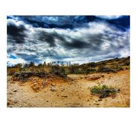 Puzzle 500 Pezzi Idea Regalo uomo e uonna -Pietre,Sabbia,Piante,Radici,Cielo,Colori 52x38cm