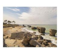 Puzzle 500 Pezzi Idea Regalo uomo e uonna -Spiaggia,Mare,Rovine,Alberi,Paesaggio 52x38cm