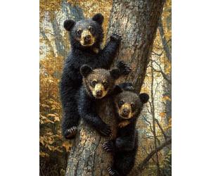 Puzzle 5000 Pezzi, Foresta Dell' Orso Nero 3D Puzzle per Adulti Impegnativo, Educa Puzzles Artistico, Divertente E Stimolante Puzzles Decorativo per La Famiglia, Regalo e Decorazione Pareti DX0YL6-326