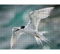 Puzzle 5000 Pezzi, Gabbiani Animali 3D Puzzle per Adulti Impegnativo, Educa Puzzles Artistico, Divertente E Stimolante Puzzles Decorativo per La Famiglia, Come Regalo e Decorazione Pareti R6KH-923