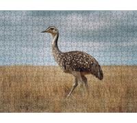 Puzzle 5000 Pezzi, Prato Degli Struzzi 3D Puzzle per Adulti Impegnativo, Educa Puzzles Artistico, Divertente E Stimolante Puzzles Decorativo per La Famiglia, Come Regalo e Decorazione Pareti R6KH-865