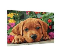 Puzzle 6000 Pezzi Cane Puzzle Adulti Fiore Pattern Design con Confezione Regalo, Fai Da Te Puzzles di Legno Giochi Casual Gioco di Abilità per Tutta la Famiglia, Home Room Decor 105 x 180 cm -1564Y