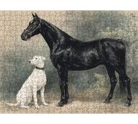Puzzle 6000 Pezzi, Cavallo Cane 3D Puzzle per Adulti Impegnativo, Educa Puzzles Artistico, Divertente E Stimolante Puzzles Decorativo per La Famiglia, Come Regalo e Decorazione Pareti R6KH-555