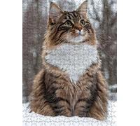 Puzzle 6000 Pezzi, Gatto Neve 3D Puzzle per Adulti Impegnativo, Educa Puzzles Artistico, Divertente E Stimolante Puzzles Decorativo per La Famiglia, Regalo e Decorazione Pareti DX0YL6-987