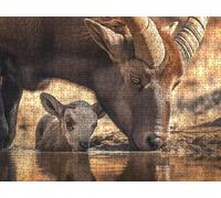 Puzzle 6000 Pezzi, Grande Corno Pecora Stagno 3D Puzzle per Adulti Impegnativo, Educa Puzzles Artistico, Divertente Stimolante Puzzles Decorativo, Come Regalo e Decorazione Pareti R6KH-135