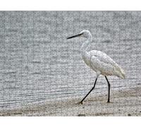 Puzzle 6000 Pezzi, Spiaggia White Heron 3D Puzzle per Adulti Impegnativo, Educa Puzzles Artistico, Divertente E Stimolante Puzzles Decorativo per La Famiglia, Come Regalo e Decorazione Pareti R6KH-9
