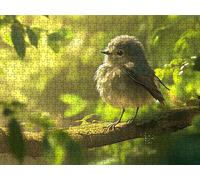 Puzzle 6000 Pezzi, Uccello Carino 3D Puzzle per Adulti Impegnativo, Educa Puzzles Artistico, Divertente E Stimolante Puzzles Decorativo per La Famiglia, Come Regalo e Decorazione Pareti R6KH-491