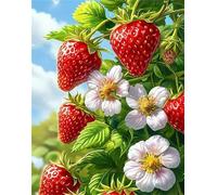 Puzzle 700 Pezzi Adulti Blu Cielo Rosso Fragola, Fai da Te puzzle difficili adulti 700 pezzi 52x38cm, Intrattenimento Creativo, Divertimento, Gioco di Abilità per Tutta la Famiglia
